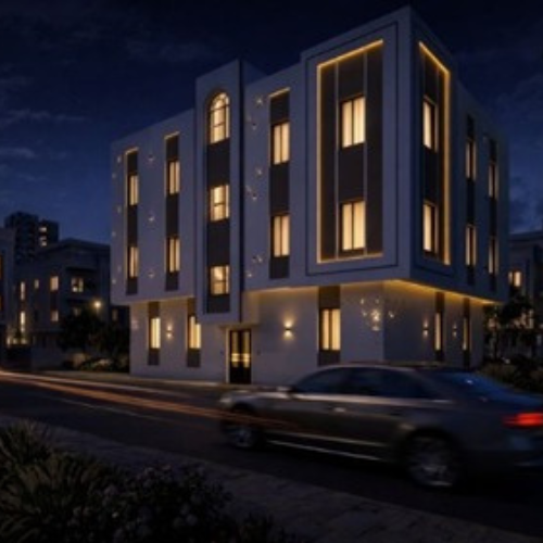 Project Image 1