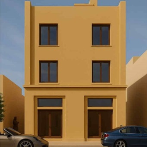 Project Image 1